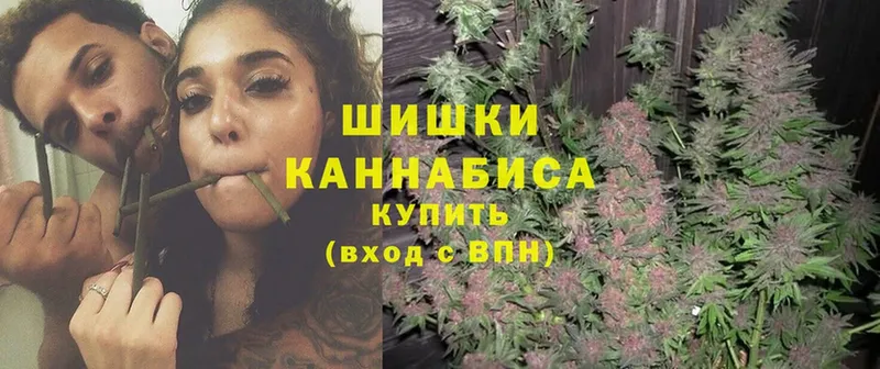 Бошки Шишки Amnesia  Валуйки 